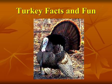 Turkey Facts and Fun. The Great American Turkey Debate! The Mostly true story of America's quest for a National Bird, by Joe Wos and Benjamin Franklin.