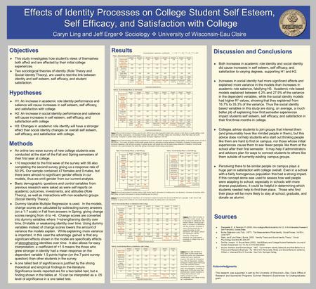 Effects of Identity Processes on College Student Self Esteem, Self Efficacy, and Satisfaction with College Self Efficacy, and Satisfaction with College.