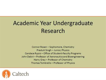 Academic Year Undergraduate Research
