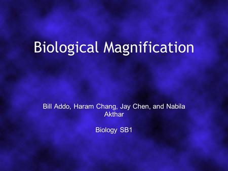 Biological Magnification Bill Addo, Haram Chang, Jay Chen, and Nabila Akthar Biology SB1.