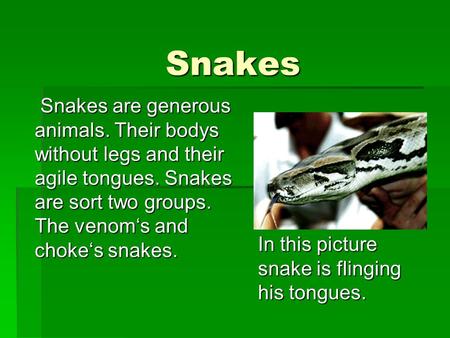 Snakes Snakes Snakes are generous animals. Their bodys without legs and their agile tongues. Snakes are sort two groups. The venom‘s and choke‘s snakes.