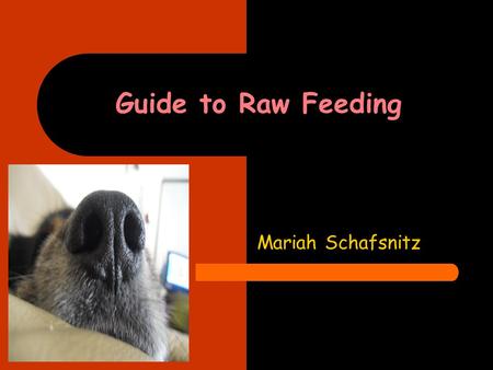 Guide to Raw Feeding Mariah Schafsnitz. Ratios 80% meat – legs, hearts, wings, gizzards, etc. 10% organ – liver, kidney, etc. 10% bone – chicken bone,