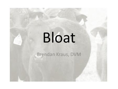 Bloat Brendan Kraus, DVM. The Rumen A specialized fermentation vat in the bovine – Fermentation is controlled through diet selection, saliva (buffer),