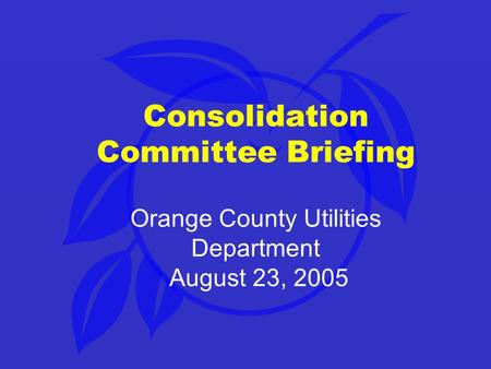 Consolidation Committee Briefing Orange County Utilities Department August 23, 2005.
