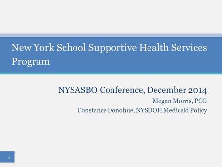 New York School Supportive Health Services Program