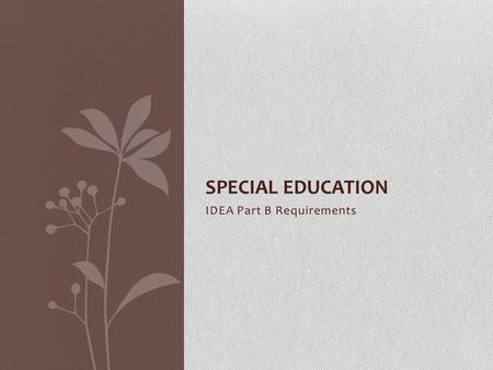 IDEA Part B Requirements SPECIAL EDUCATION. Special Education Special Education Services are authorized by the Individuals with Disabilities Education.