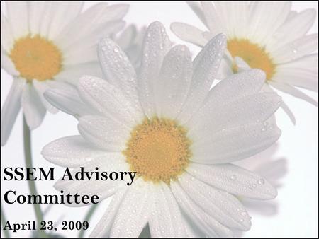 SSEM Advisory Committee April 23, 2009. Topics of Discussion  Upcoming SSEM Open Labs  SpS Task Model  Release Date  Sample Screens  Finalization.