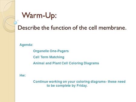 Warm-Up: Describe the function of the cell membrane. Agenda: Organelle One-Pagers Cell Term Matching Animal and Plant Cell Coloring Diagrams Hw: Continue.