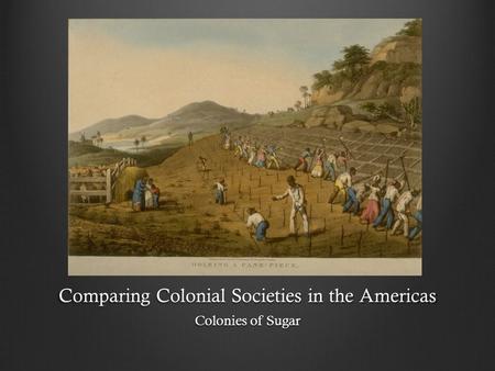 Comparing Colonial Societies in the Americas
