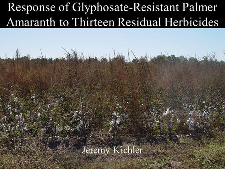 Response of Glyphosate-Resistant Palmer Amaranth to Thirteen Residual Herbicides Jeremy Kichler.