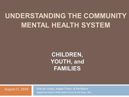 Understanding the community mental health system