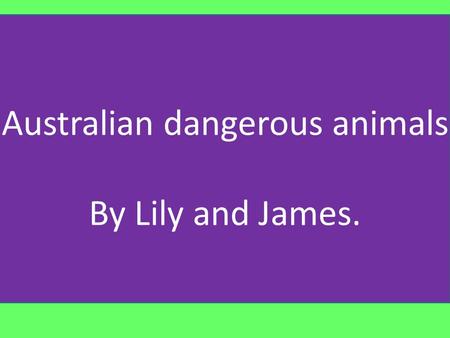Australian dangerous animals By Lily and James.. No it is not hard living in Australia with all these dangerous animals and insects, but these are some.