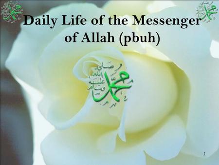 1 Daily Life of the Messenger of Allah (pbuh). 2 Outline Timeline He is the role model for people His daily life.
