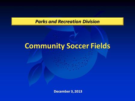 Community Soccer Fields Parks and Recreation Division December 3, 2013.