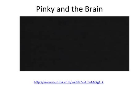 Pinky and the Brain http://www.youtube.com/watch?v=Li5nMsXg1Lk.