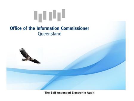 The Self-Assessed Electronic Audit. Why have monitoring? Section 131 Right to Information Act 2009 (RTI Act)  The functions of the Information Commissioner.