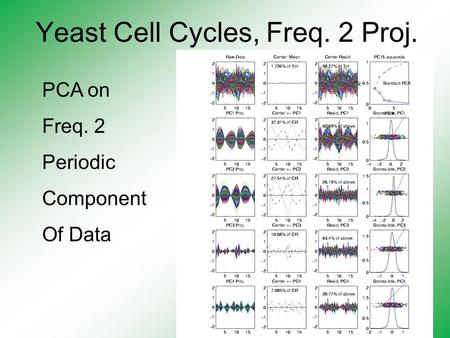 Yeast Cell Cycles, Freq. 2 Proj. PCA on Freq. 2 Periodic Component Of Data.