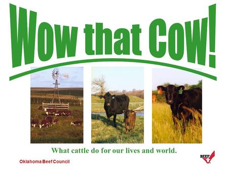 Oklahoma Beef Council What cattle do for our lives and world.