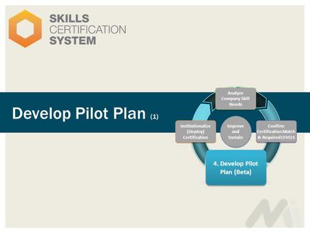 Develop Pilot Plan (1) Analyze Company Skill Needs 4. Develop Pilot Plan (Beta) Confirm Certification Match & Required LEVELS Institutionalize (Deploy)
