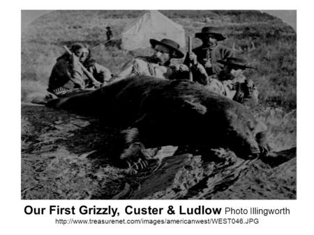 Our First Grizzly, Custer & Ludlow Photo Illingworth