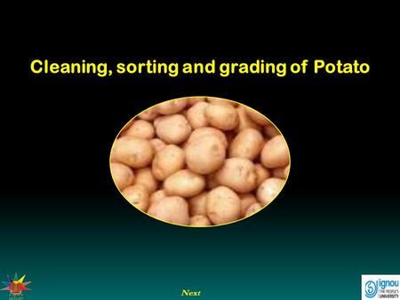 Cleaning, sorting and grading of Potato