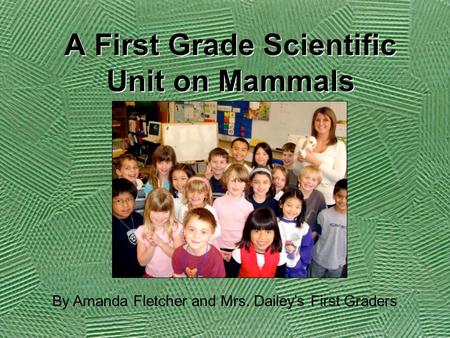A First Grade Scientific Unit on Mammals By Amanda Fletcher and Mrs. Dailey’s First Graders.