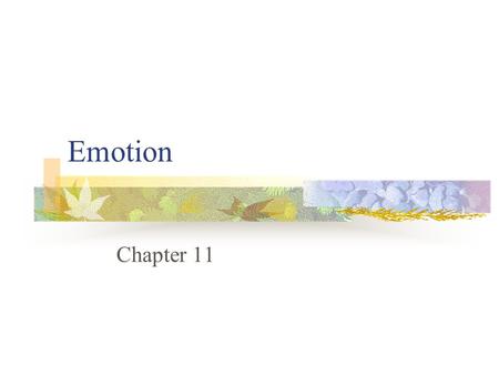 Emotion Chapter 11 Emotion 4/12/2017