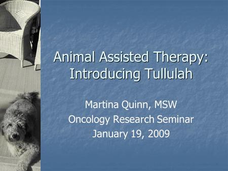 Animal Assisted Therapy: Introducing Tullulah Martina Quinn, MSW Oncology Research Seminar January 19, 2009.
