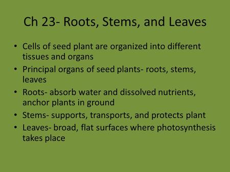 Ch 23- Roots, Stems, and Leaves