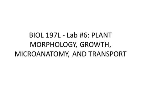 BIOL 197L - Lab #6: PLANT MORPHOLOGY, GROWTH, MICROANATOMY, AND TRANSPORT.