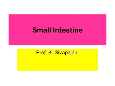 Small Intestine Prof. K. Sivapalan.. 2013Small Intestine2 Small Intestinal Motility Segmental movement [mixing 7/min in ileum] Peristalsis [propagation.