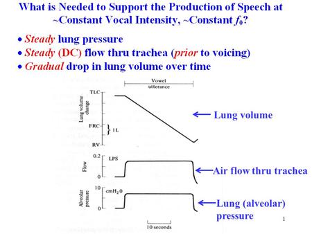 Hillenbrand: Respiration1 Lung volume Air flow thru trachea Lung (alveolar) pressure.