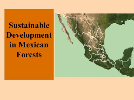 Sustainable Development in Mexican Forests. Why should we care? Benefits –alternative economic/livelihoods strategy to migration to cities, Maquiladoras,