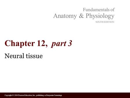 Chapter 12, part 3 Neural tissue.