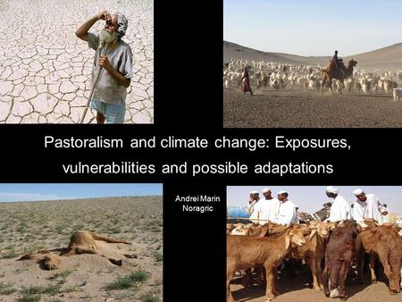 Pastoralism and climate change: Exposures, vulnerabilities and possible adaptations Andrei Marin Noragric.