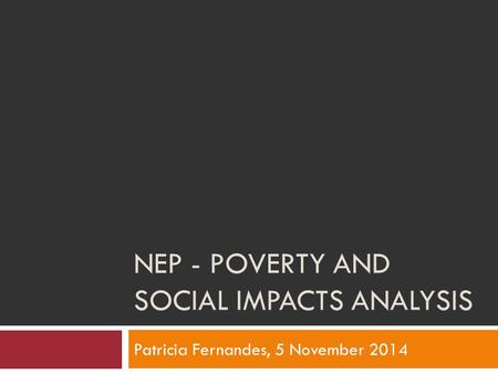 NEP - POVERTY AND SOCIAL IMPACTS ANALYSIS Patricia Fernandes, 5 November 2014.