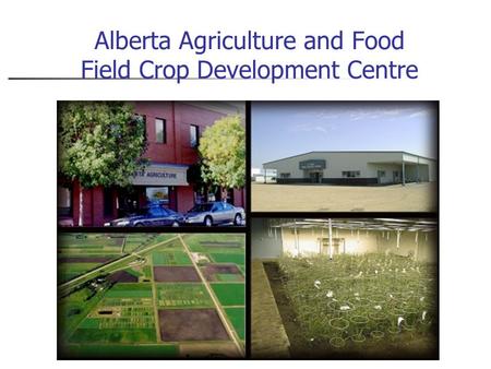 Alberta Agriculture and Food Field Crop Development Centre.