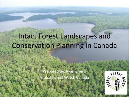 Intact Forest Landscapes and Conservation Planning in Canada Prepared by: Ryan Cheng Global Forest Watch Canada.