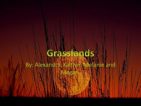By: Alexandra, Kaitlyn, Melanie and Megan.. “A grassland is a region where the average annual precipitation is great enough to support grasses, and in.