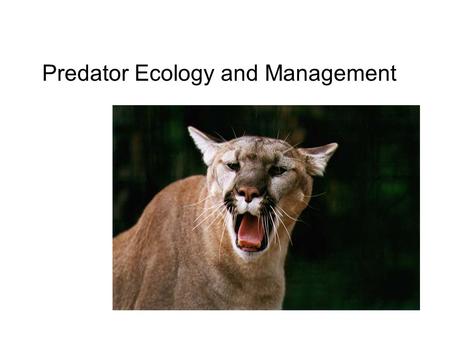 Predator Ecology and Management What is a predator?