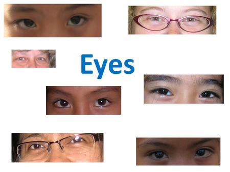 Eyes. God Has “Eyes” Eyes of The Lord – Prov.15:3 He Sees All – Heb.4:13 Watches Over His Own – I Peter 3:12 God Is A Spirit – Jn.4:24; Lk.24:39 Anthropomorphism.