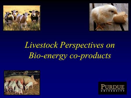 Livestock Perspectives on Bio-energy co-products.