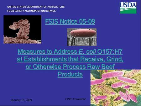 FSIS Notice 05-09 Measures to Address E. coli O157:H7 at Establishments that Receive, Grind, or Otherwise Process Raw Beef Products FSIS Notice 05-09 Measures.