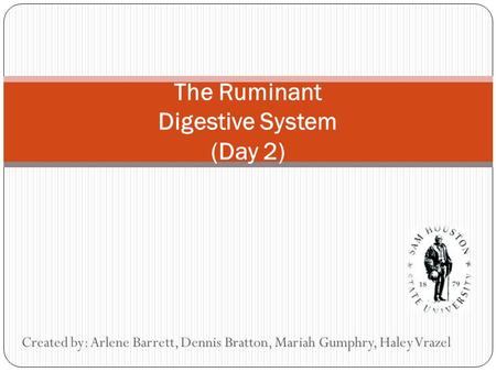 The Ruminant Digestive System (Day 2) Created by: Arlene Barrett, Dennis Bratton, Mariah Gumphry, Haley Vrazel.