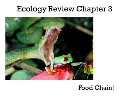 Ecology Review Chapter 3 Food Chain!. Ecology Study of the interactions that take place between organisms and organisms and their environment.
