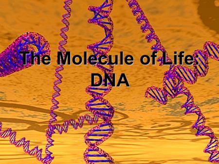 The Molecule of Life: DNA. The purpose of this laboratory exercise is to extract and visualize DNA from fruit. The objectives of the laboratory exercise.