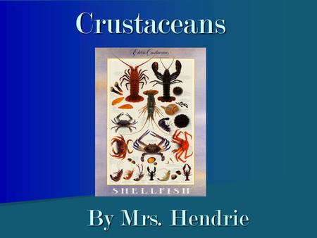 Crustaceans By Mrs. Hendrie. Crustaceans Crustaceans are members of a large class of animals with segmented bodies Crustaceans are members of a large.