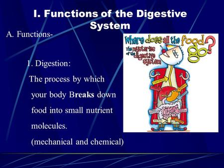 I. Functions of the Digestive System