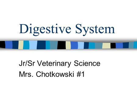 Digestive System Jr/Sr Veterinary Science Mrs. Chotkowski #1.
