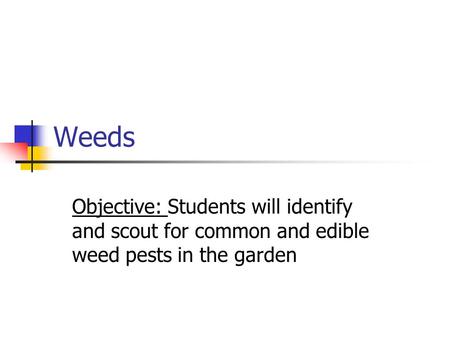 Weeds Objective: Students will identify and scout for common and edible weed pests in the garden.